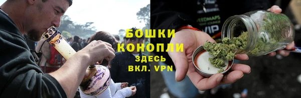 ГАЛЛЮЦИНОГЕННЫЕ ГРИБЫ Алексин