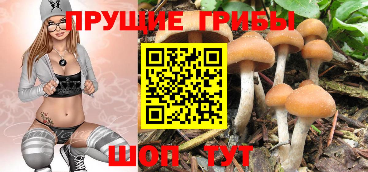 Псилоцибиновые грибы Magic Shrooms  Вход с VPN  Куйбышев 