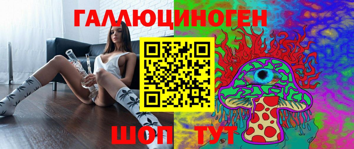 Галлюциногенные грибы Psilocybine cubensis Куйбышев